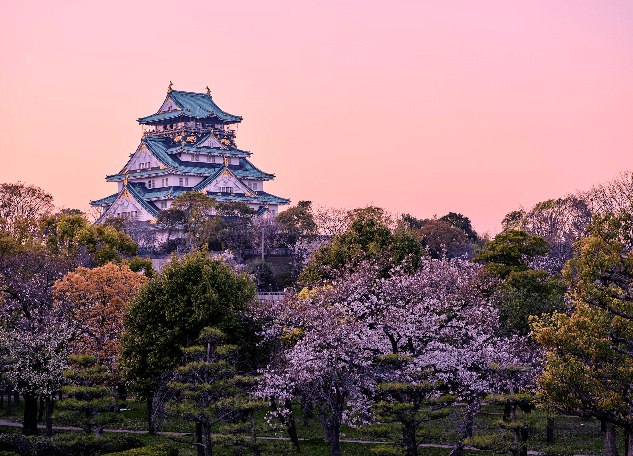 Osaka, host city of Next Generation Longevity 2026